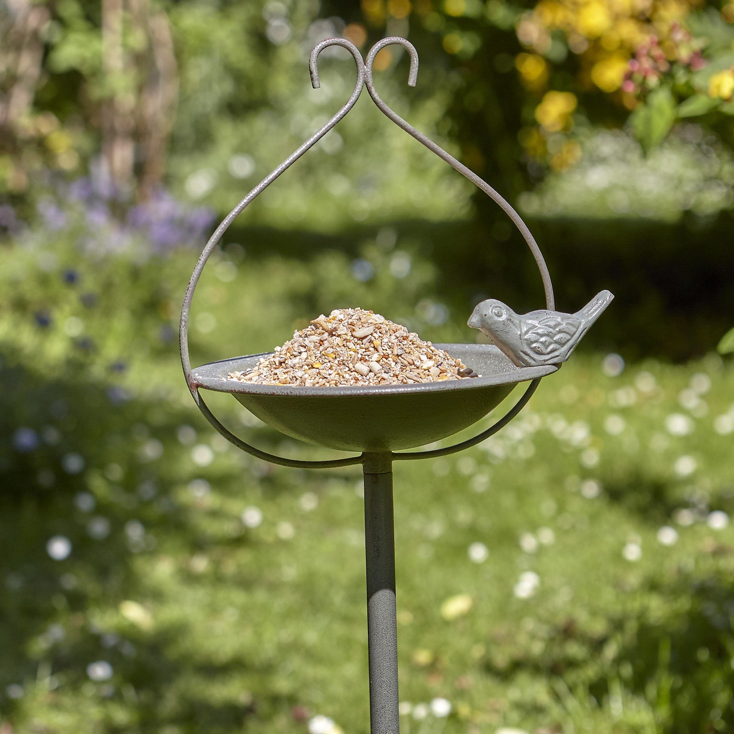 bird food dish